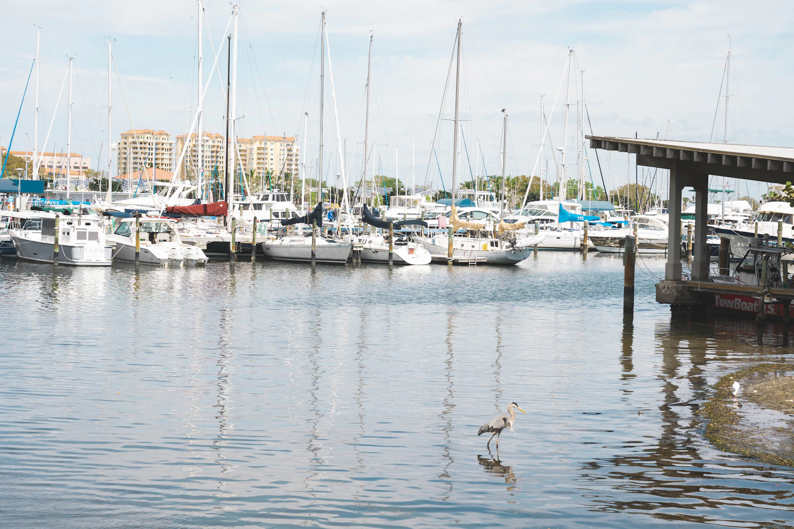 St. Petersburg, Florida photo 3 by Aarit Rao