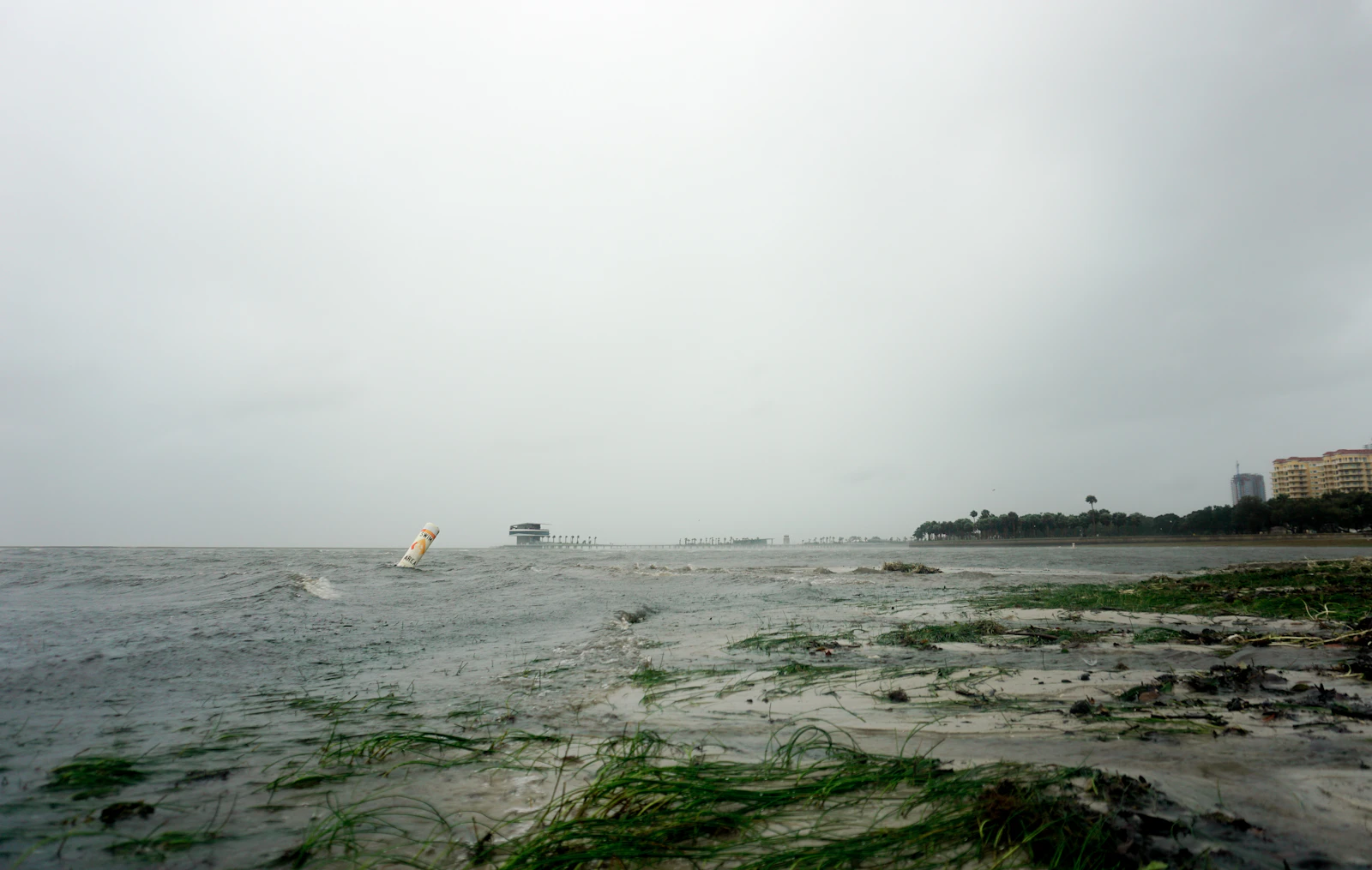 St. Petersburg, Florida photo 16 by The Tampa Bay Estuary Program