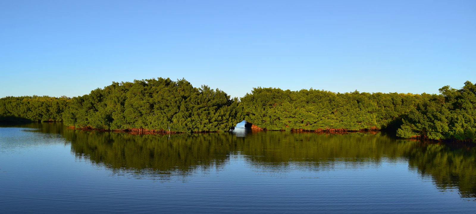 St. Petersburg, Florida photo 4 by Tom Nora