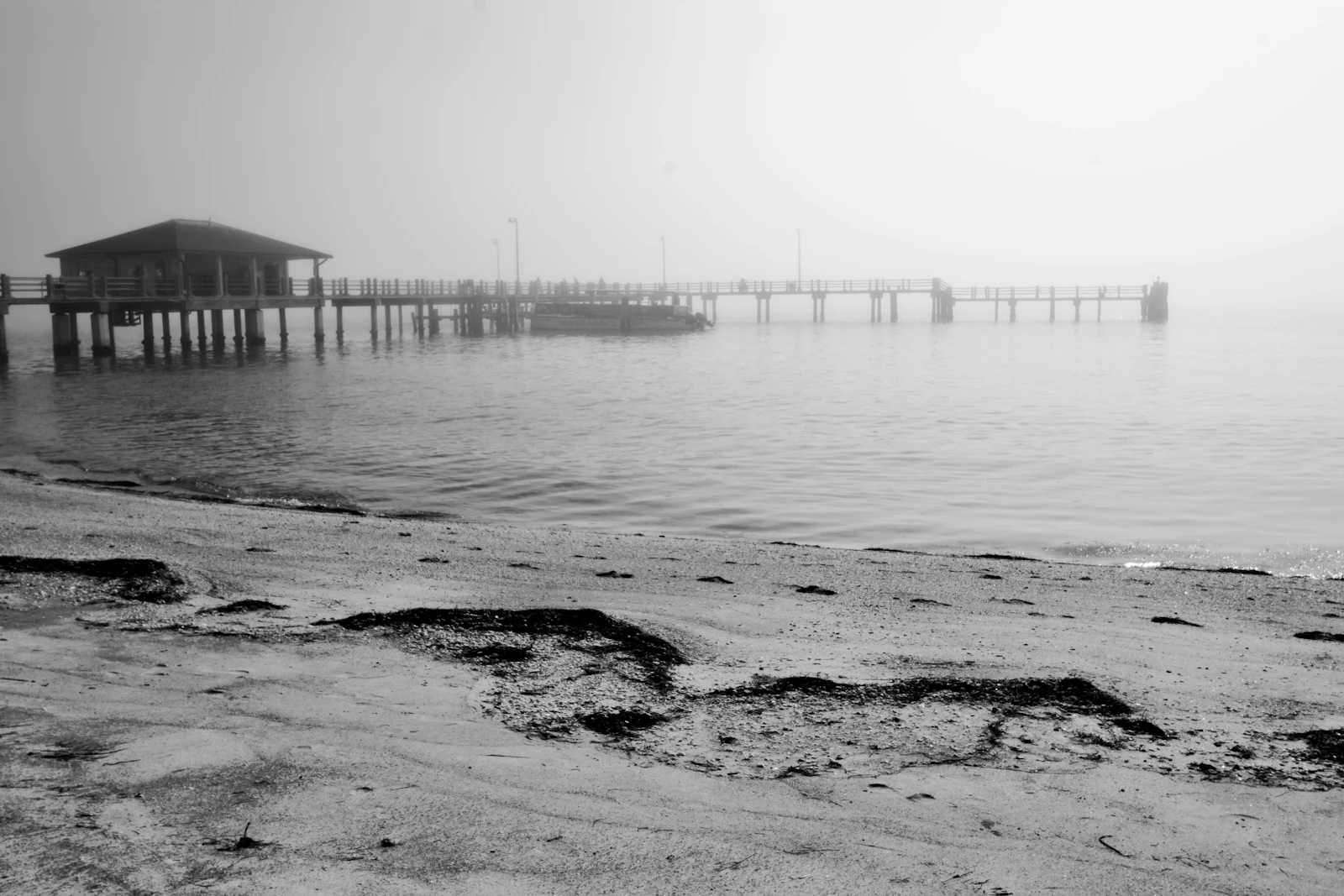 St. Petersburg, Florida photo 17 by Susan Lamoureux