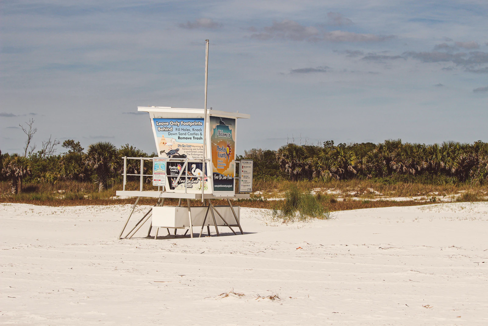 St. Petersburg, Florida photo 12 by Occy