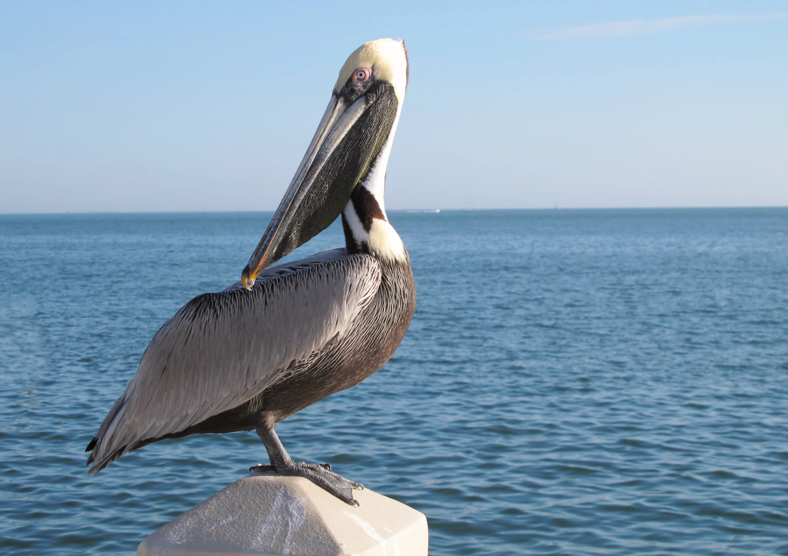 St. Petersburg, Florida photo 28 by Freysteinn G. Jonsson