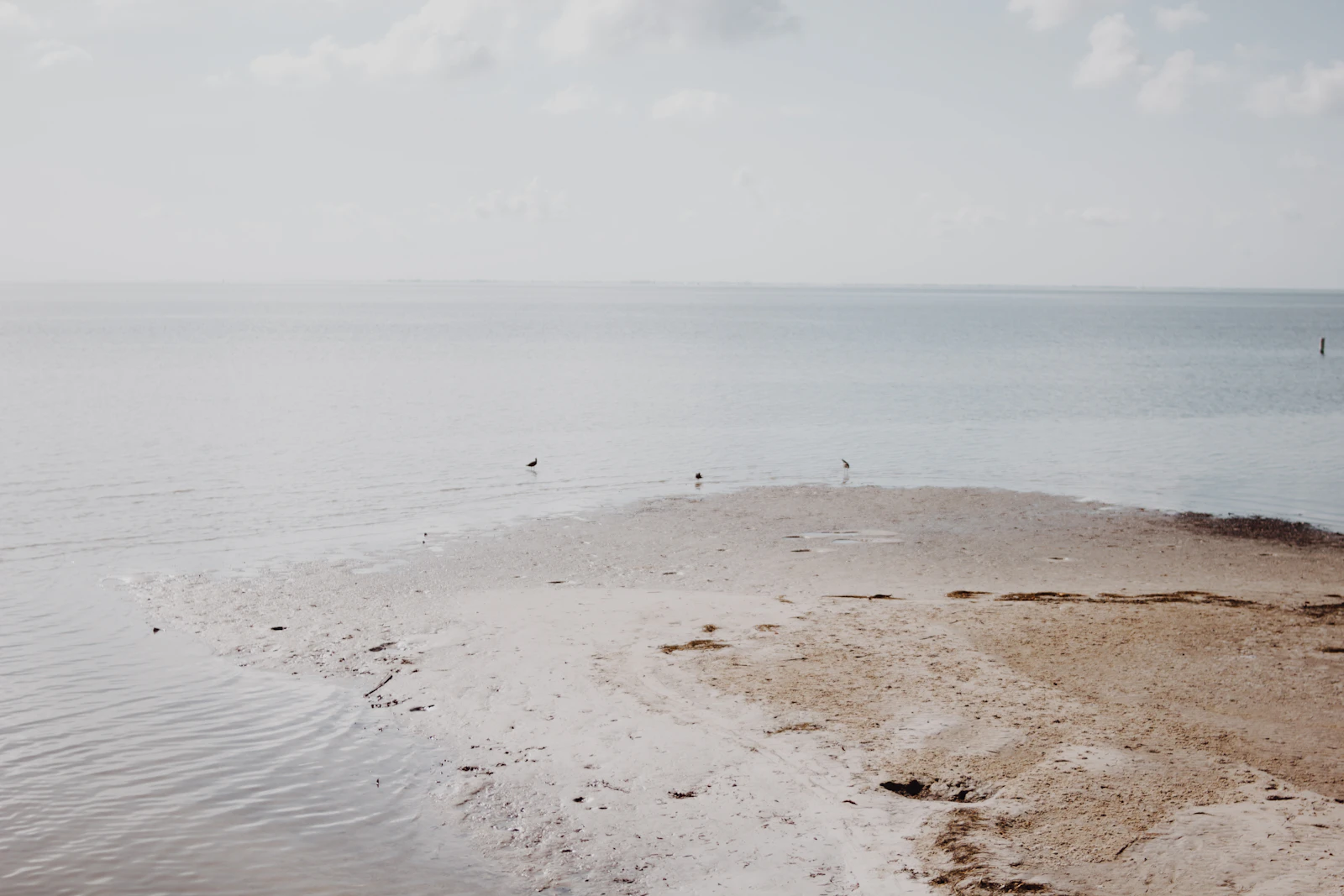 St. Petersburg, Florida photo 22 by Ary Milligan