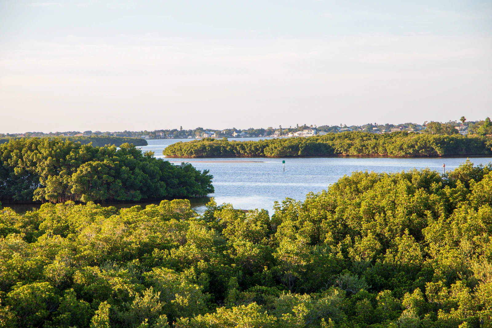 St. Petersburg, Florida photo 9 by The Tampa Bay Estuary Program