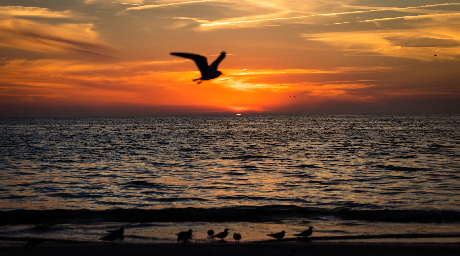 St. Petersburg, Florida photo 15 by Derrick Payton
