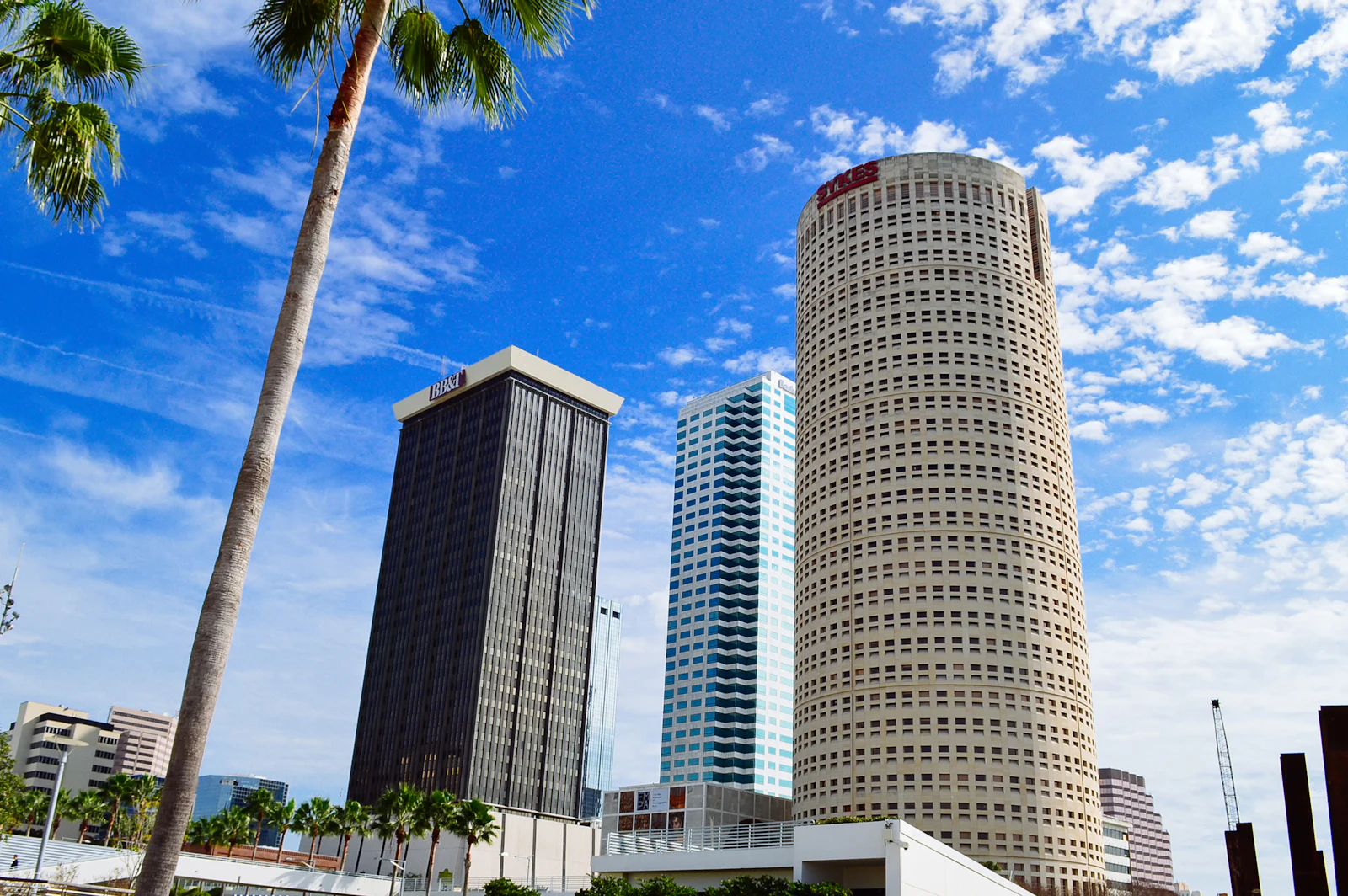 Tampa, Florida photo 13 by Chalo Garcia