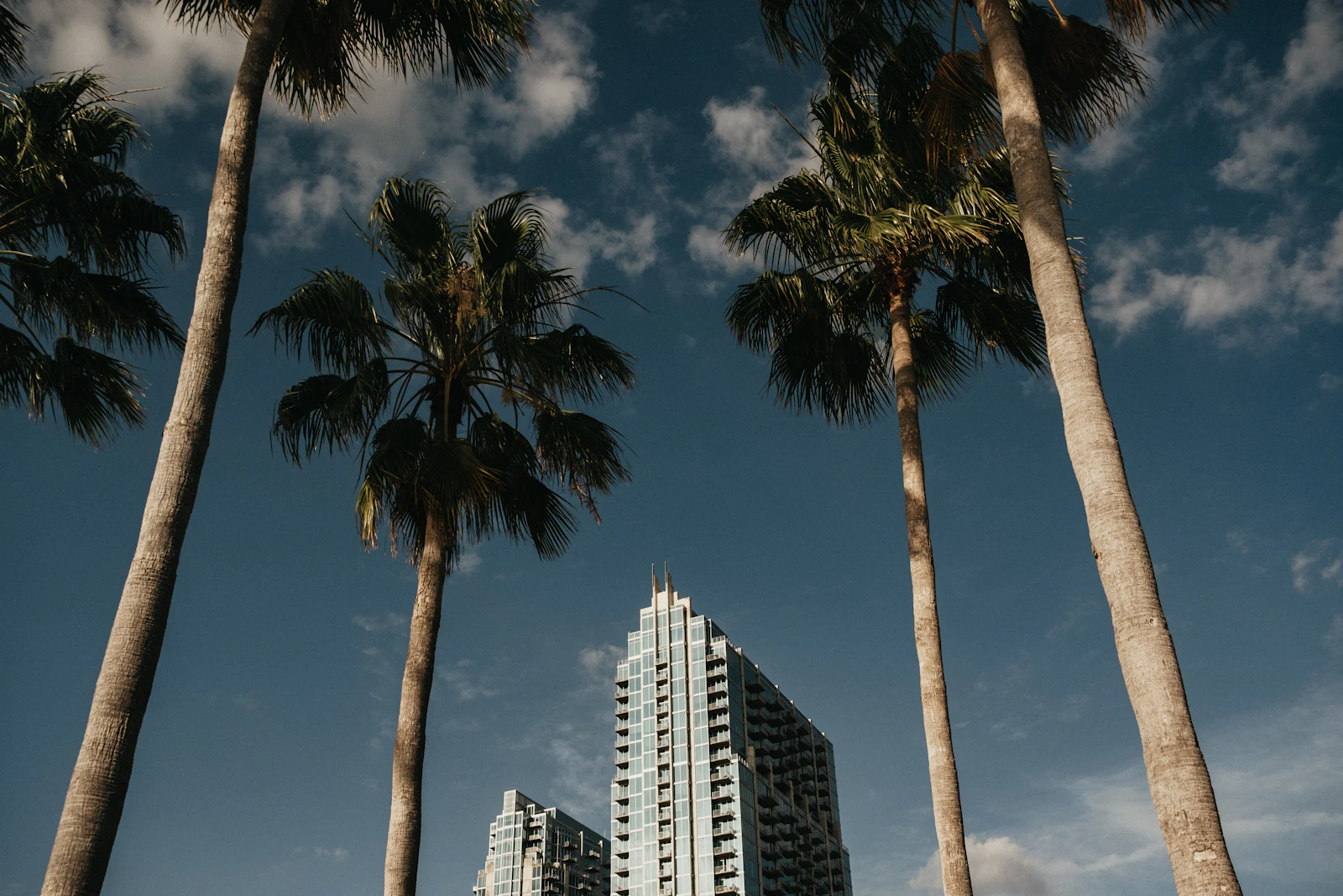 Tampa, Florida photo 21 by Brandon Burridge