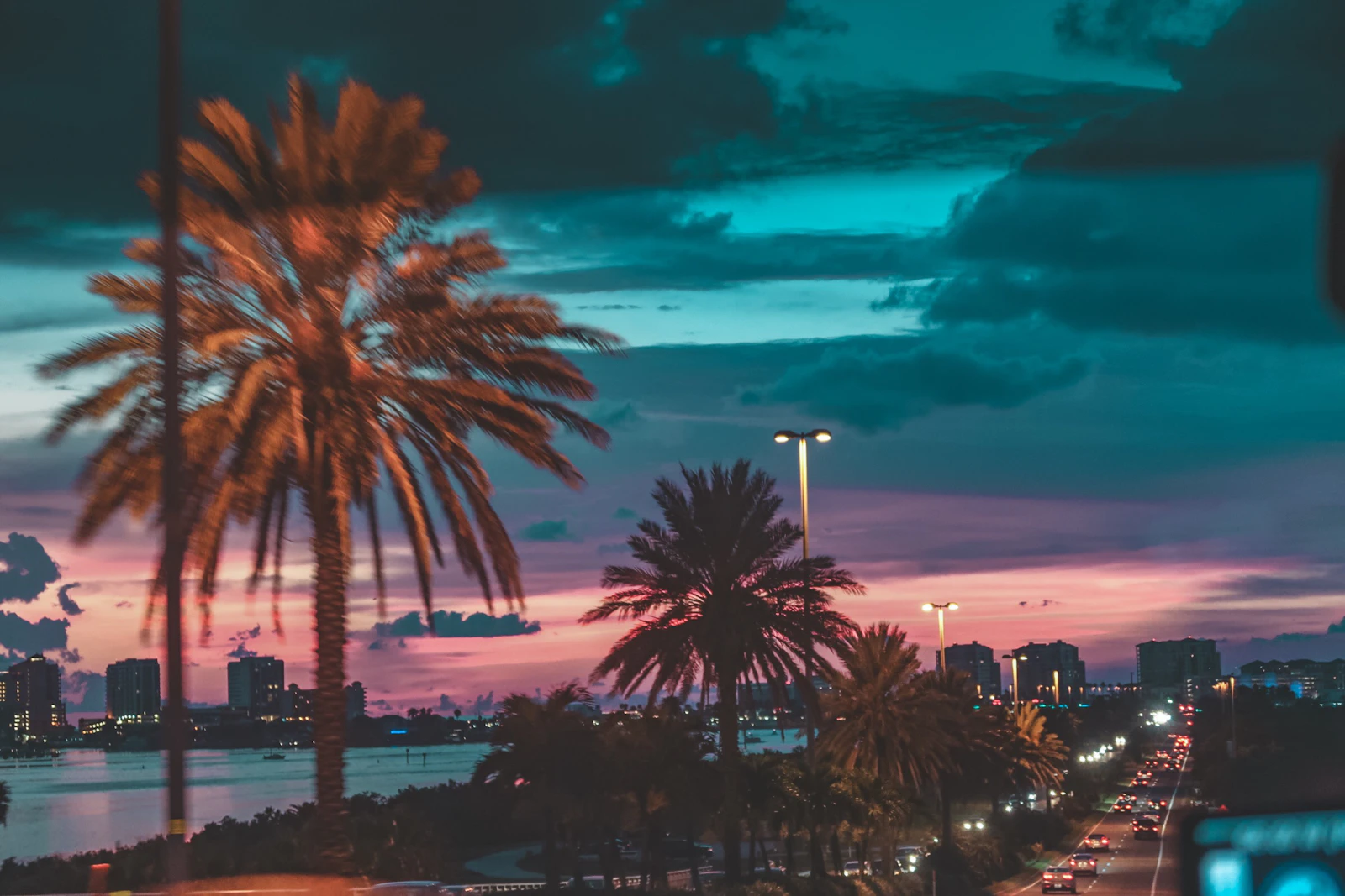 Tampa, Florida photo 11 by Jules PT