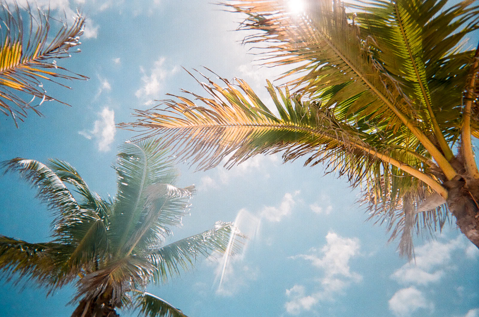Tampa, Florida photo 4 by Jorge Vasconez