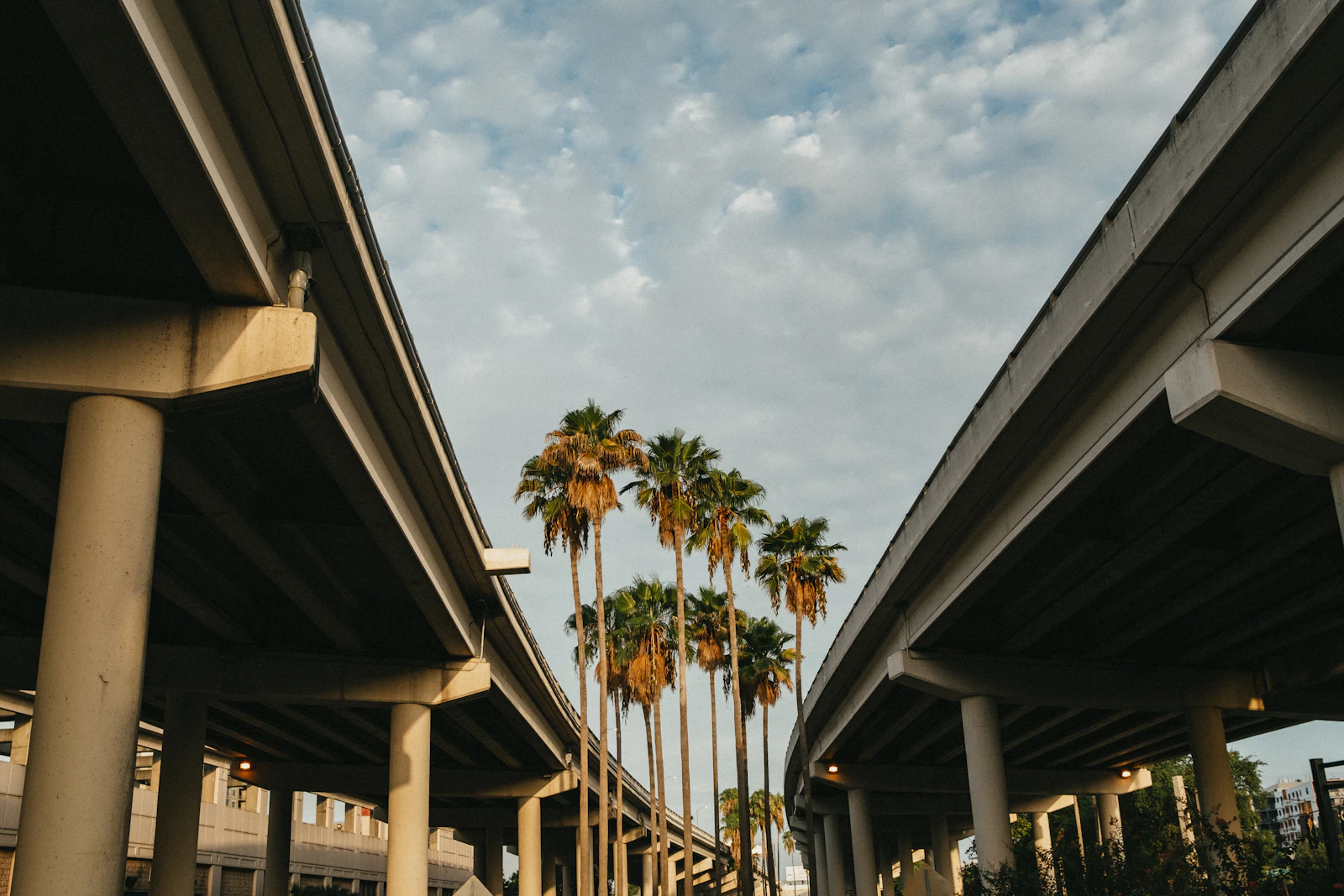 Tampa, Florida photo 20 by Brandon Burridge