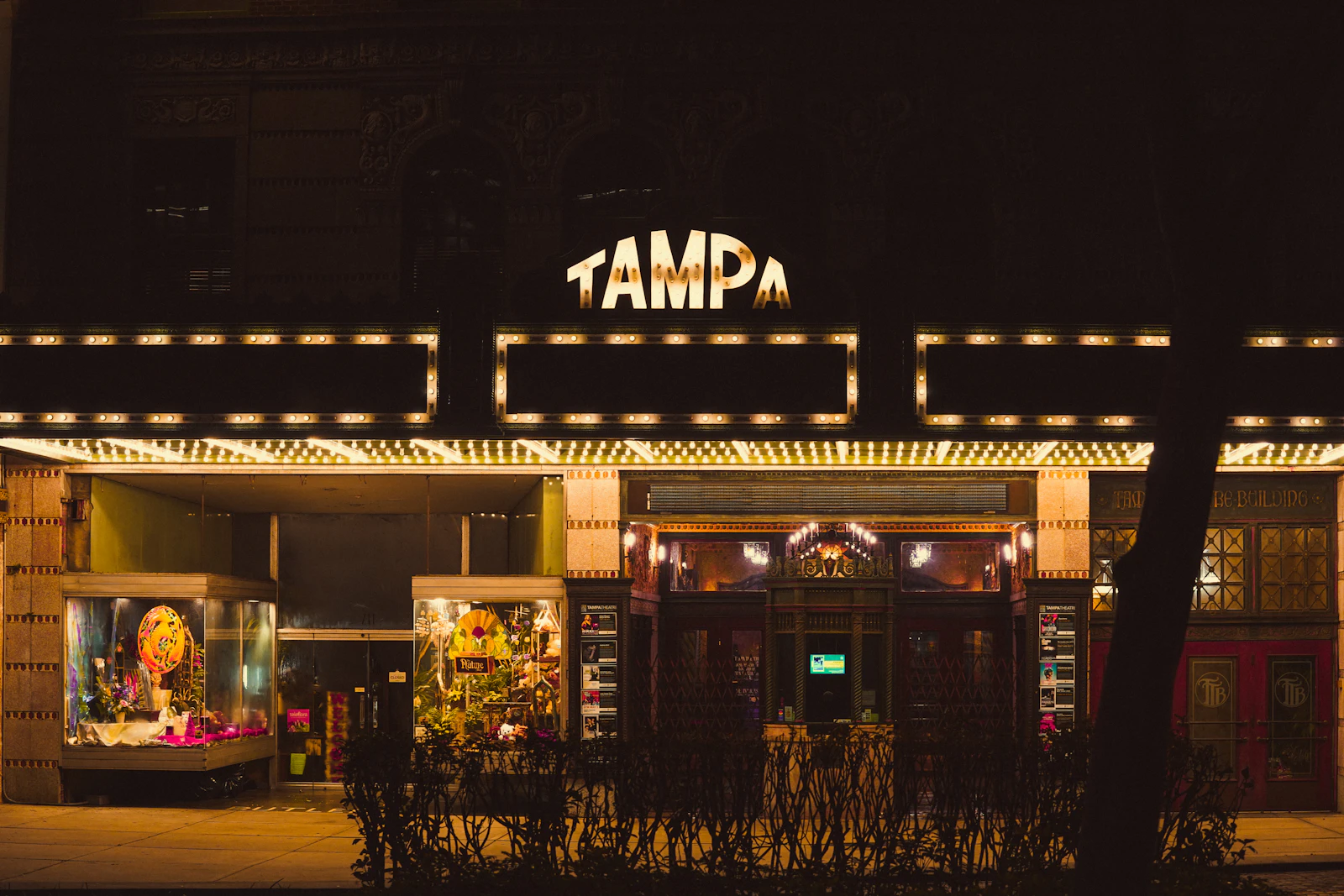 Tampa, Florida photo 30 by Alex Haney