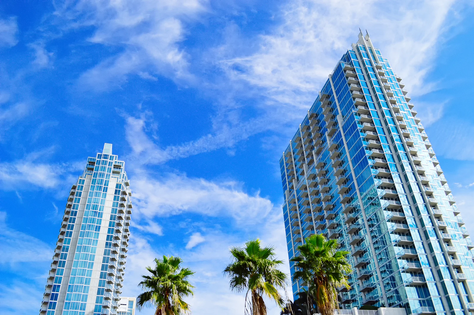 Tampa, Florida photo 8 by Chalo Garcia