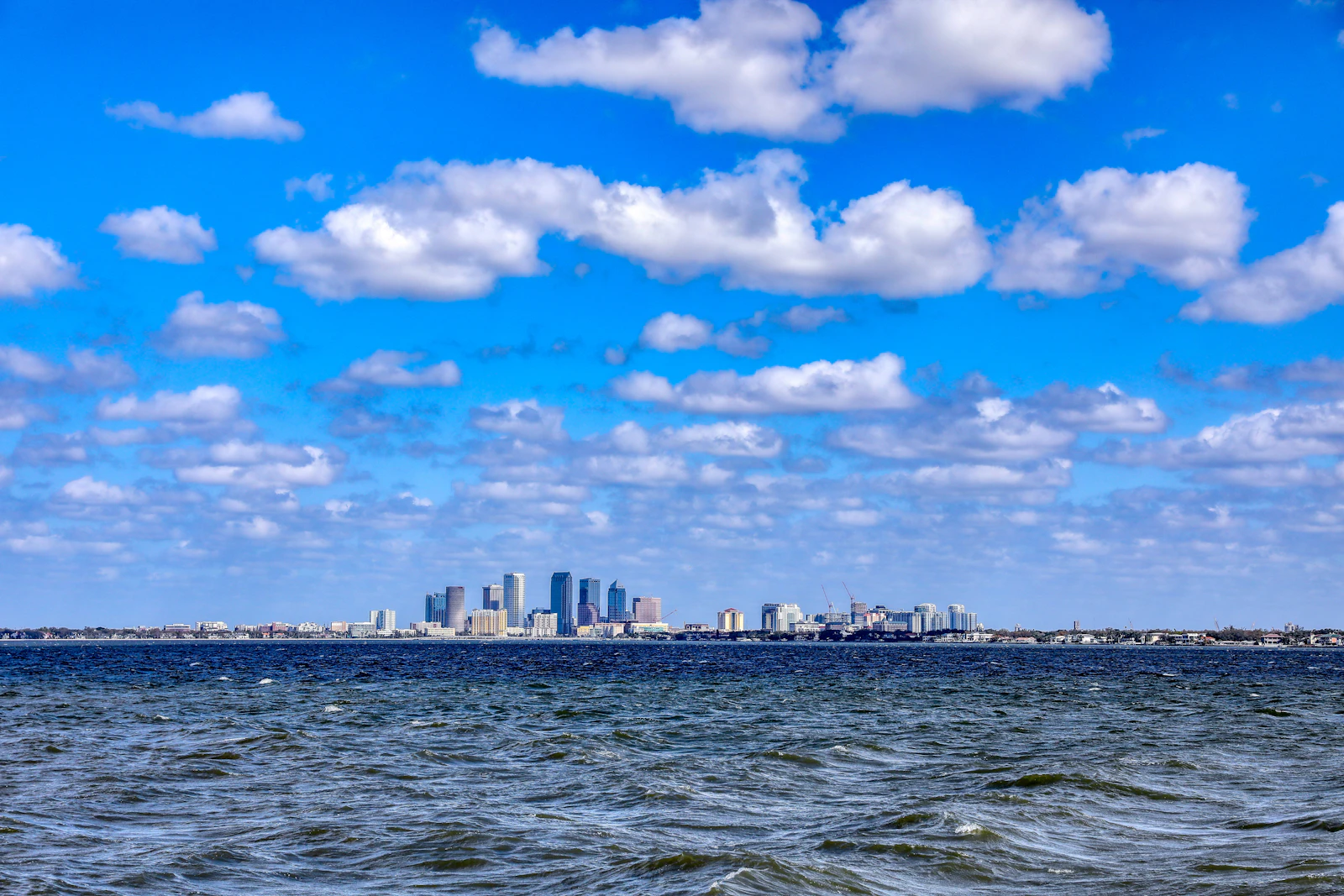 Tampa, Florida photo 15 by Mick Haupt