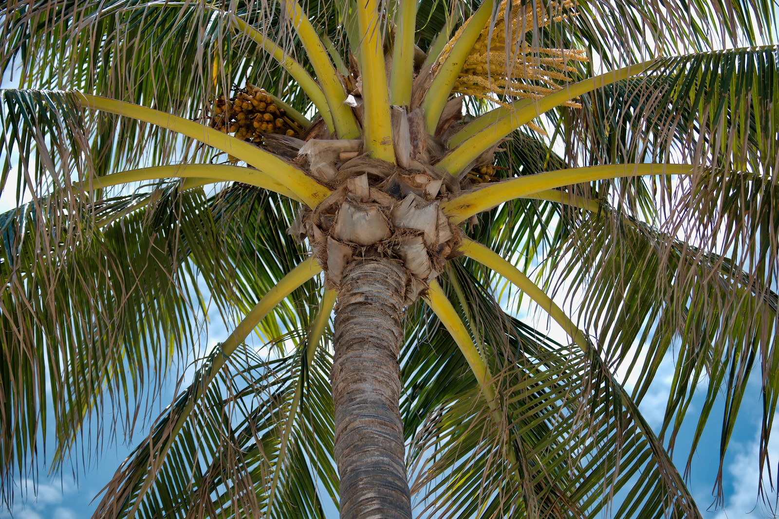 West Palm Beach, Florida photo 17 by Robert Woeger