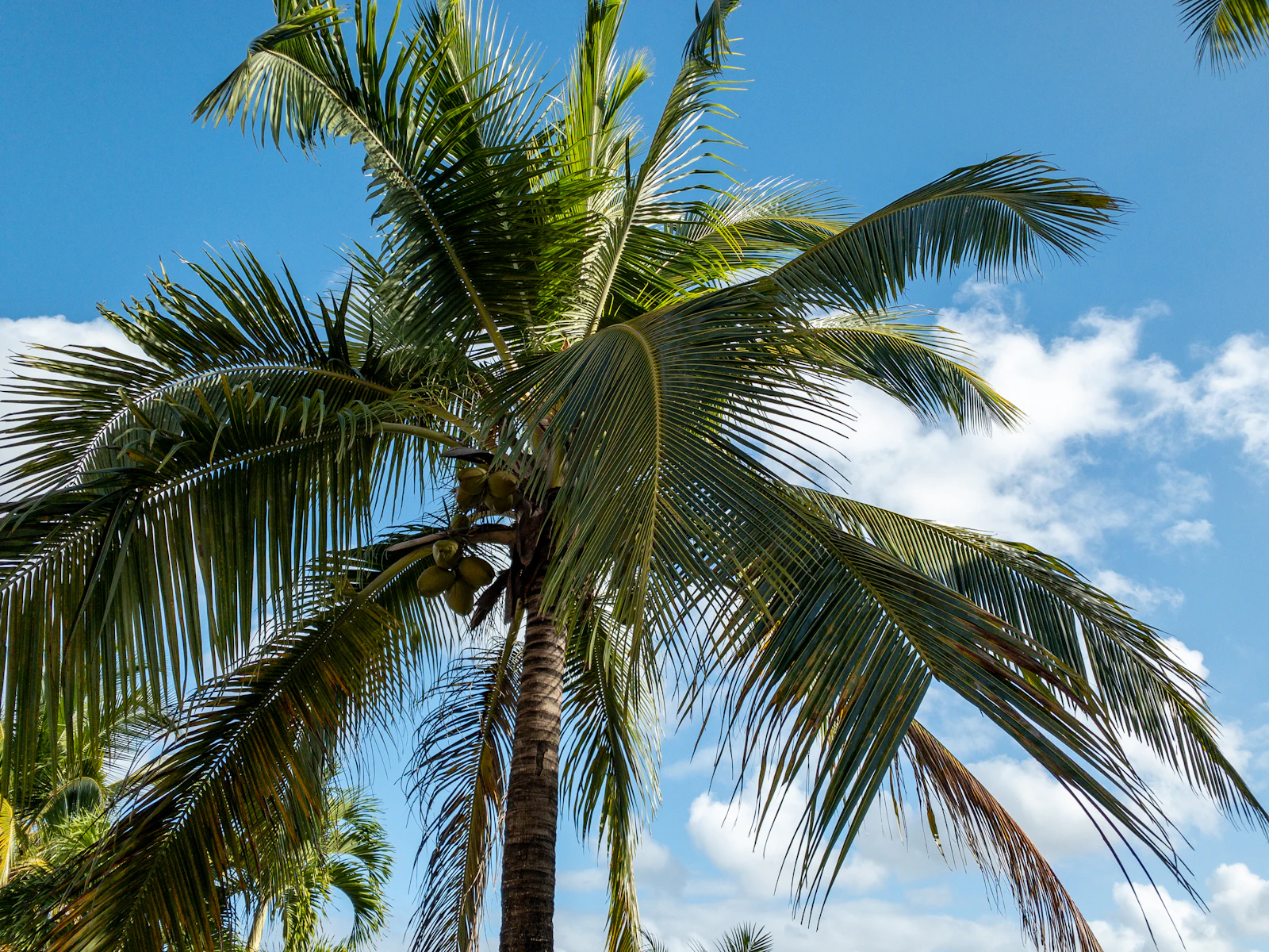 West Palm Beach, Florida photo 16 by Robert Woeger