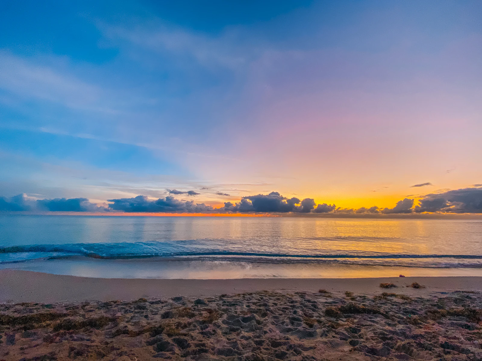 West Palm Beach, Florida photo 11 by Olga Subach