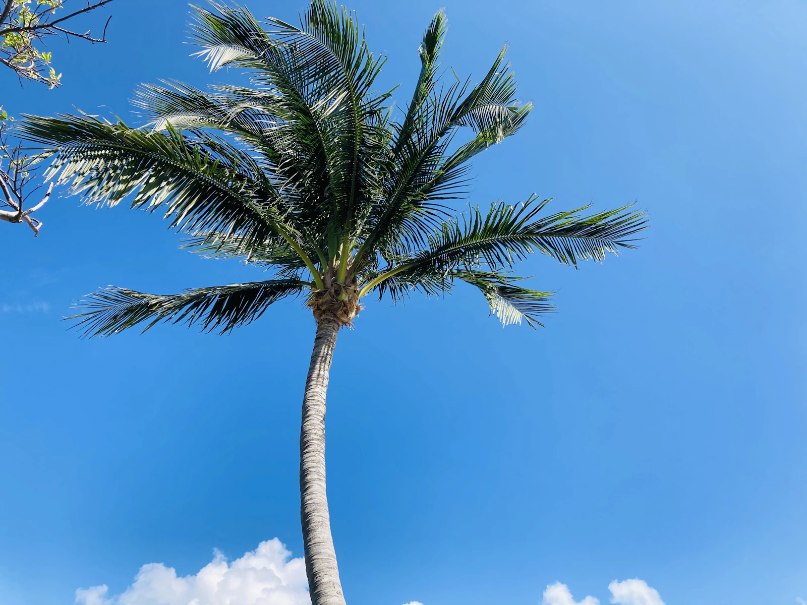 West Palm Beach, Florida photo 15 by Harish Subrahmanian