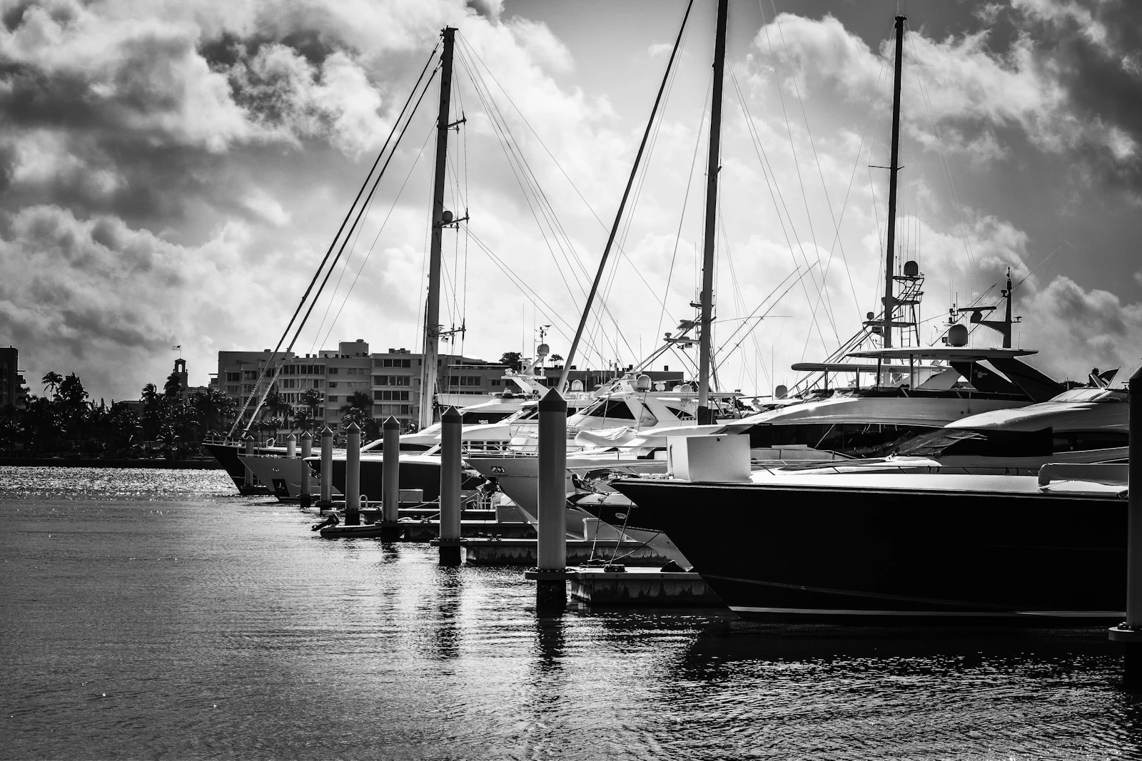 West Palm Beach, Florida photo 22 by Laura James