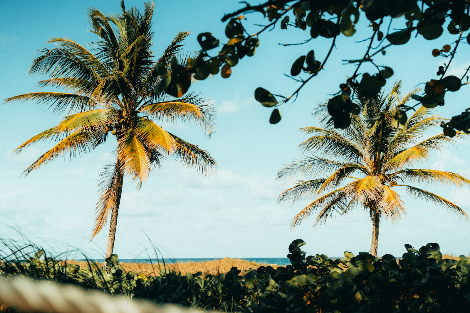 West Palm Beach, Florida photo 14 by Tobias Seward