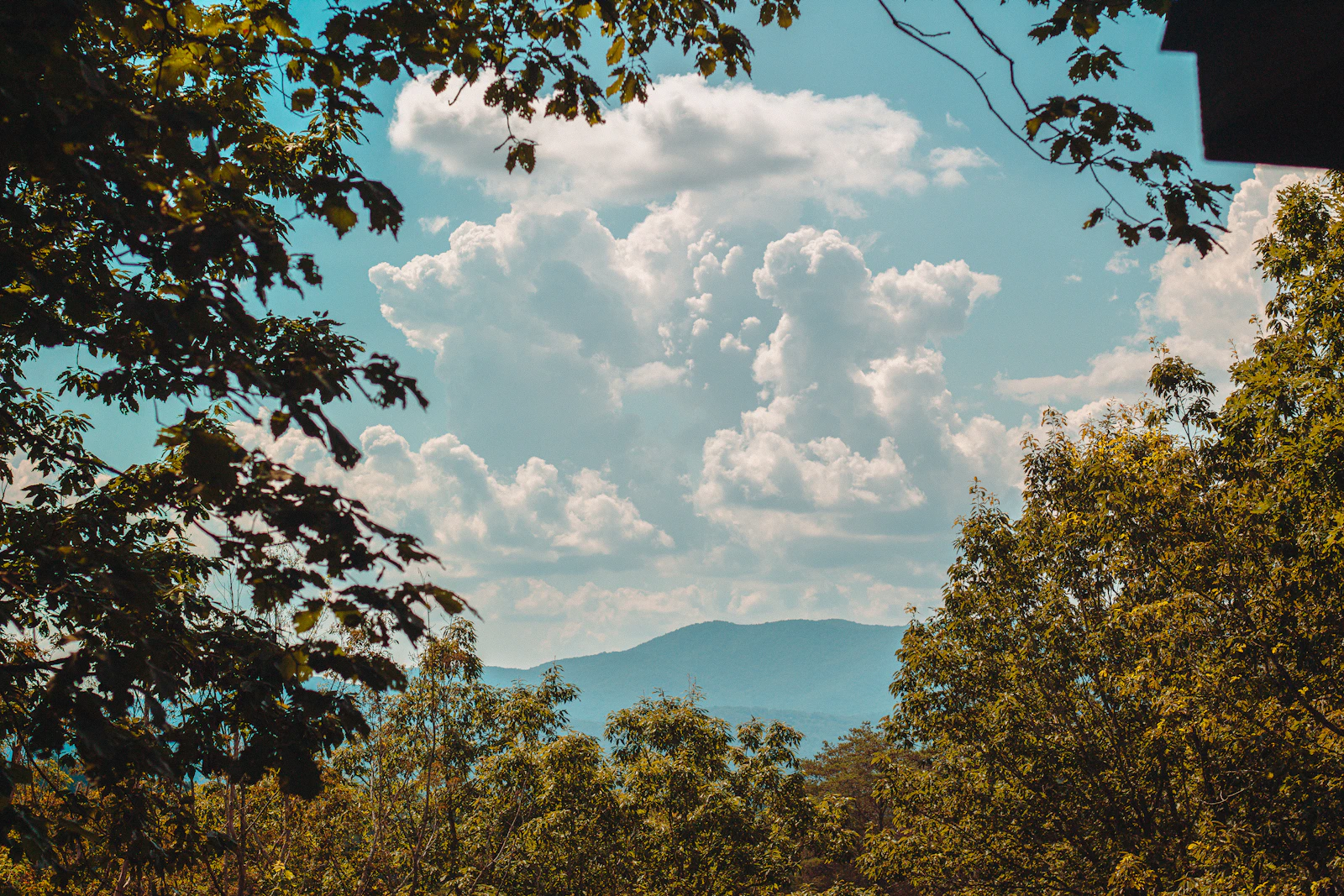 Blue Ridge, Georgia photo 2 by Sean Foster