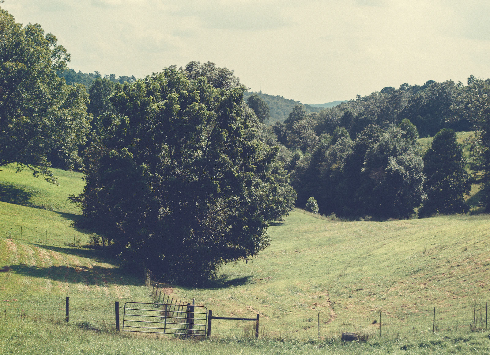 Blue Ridge, Georgia photo 15 by Sean Foster
