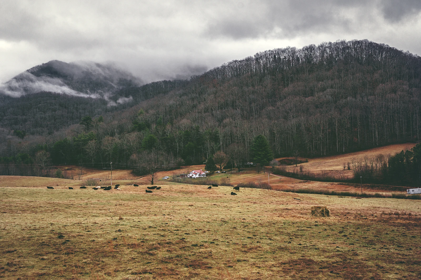 Blue Ridge, Georgia photo 16 by Byron Johnson