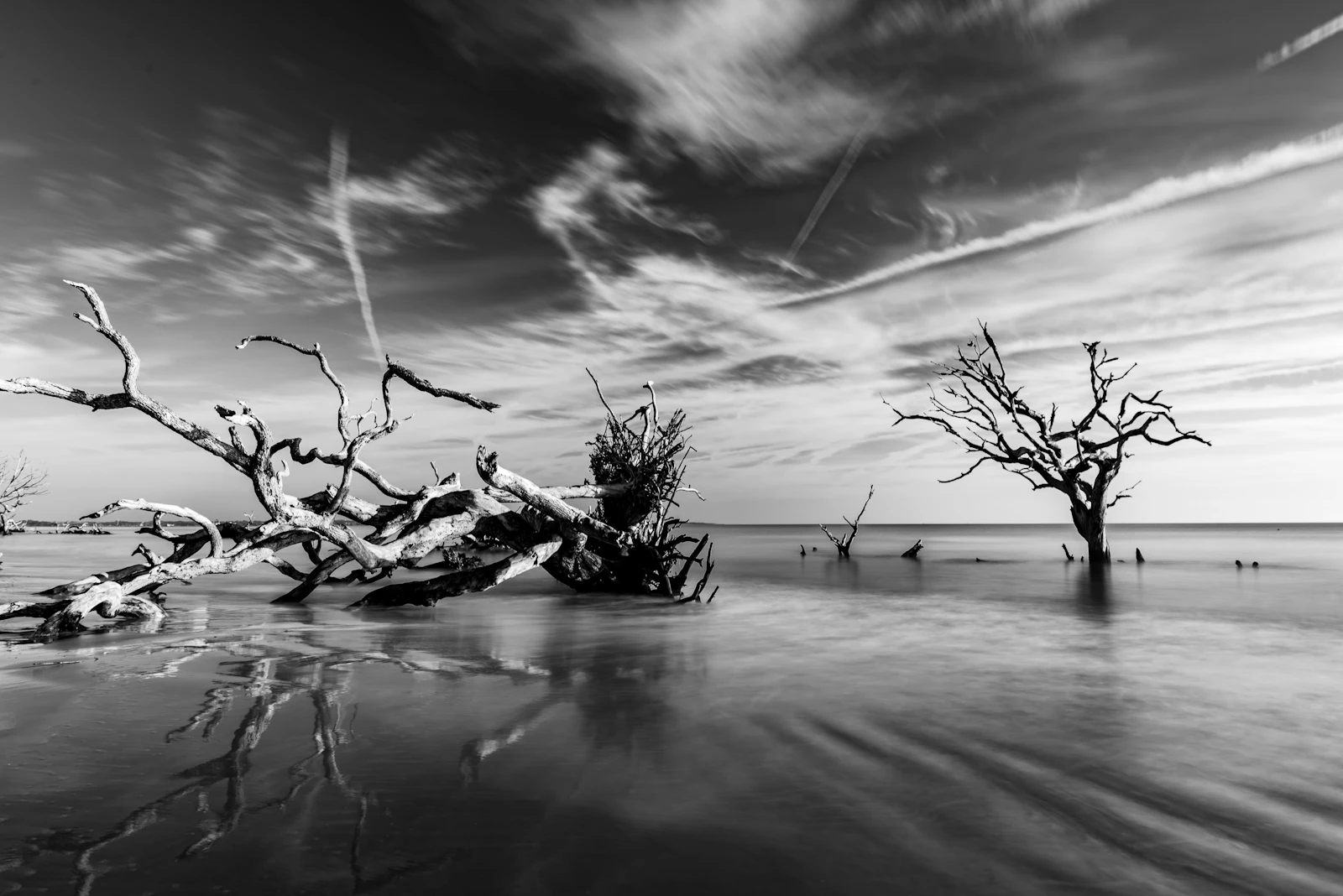 Jekyll Island, Georgia photo 5 by Elan smith
