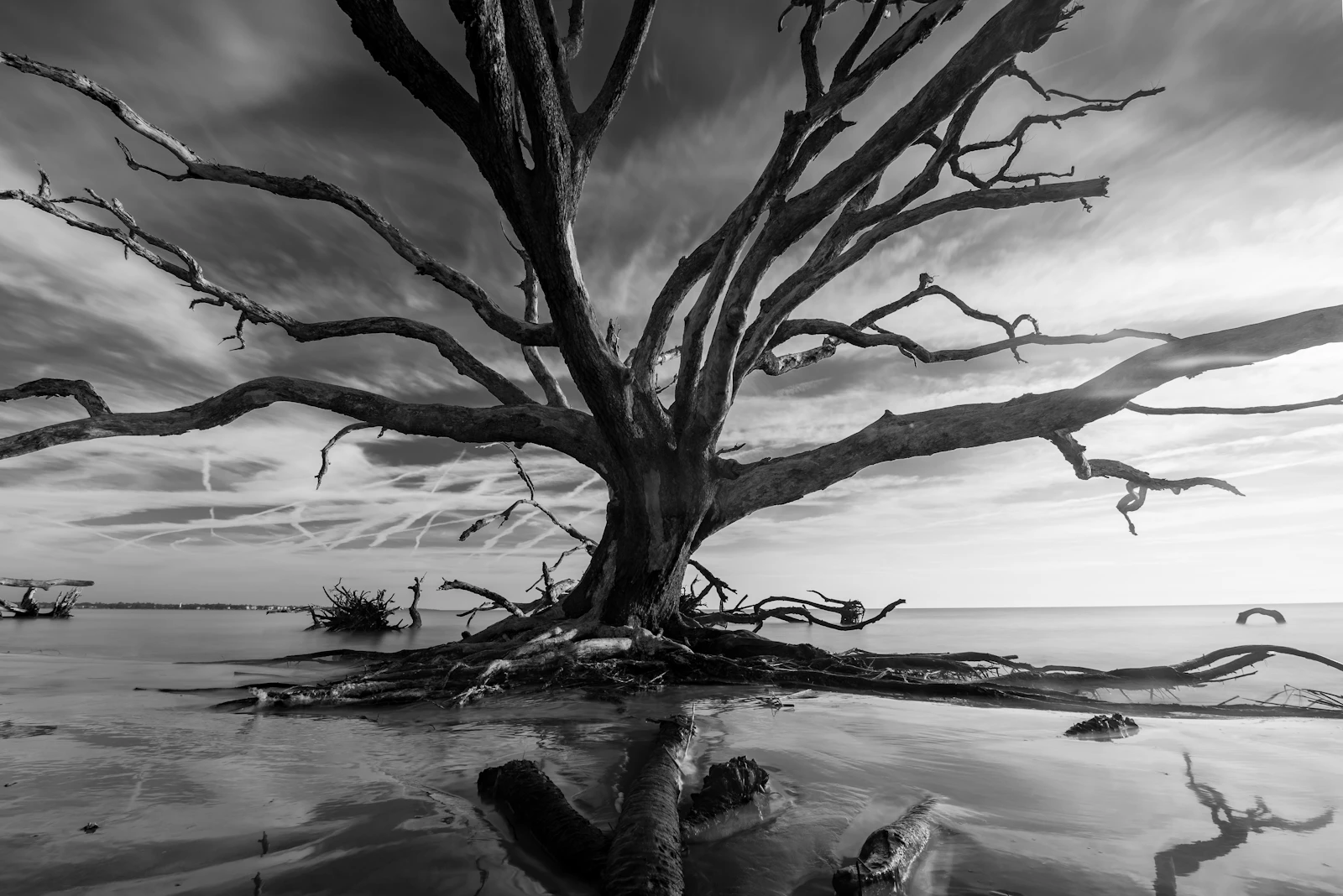 Jekyll Island, Georgia photo 4 by Elan smith