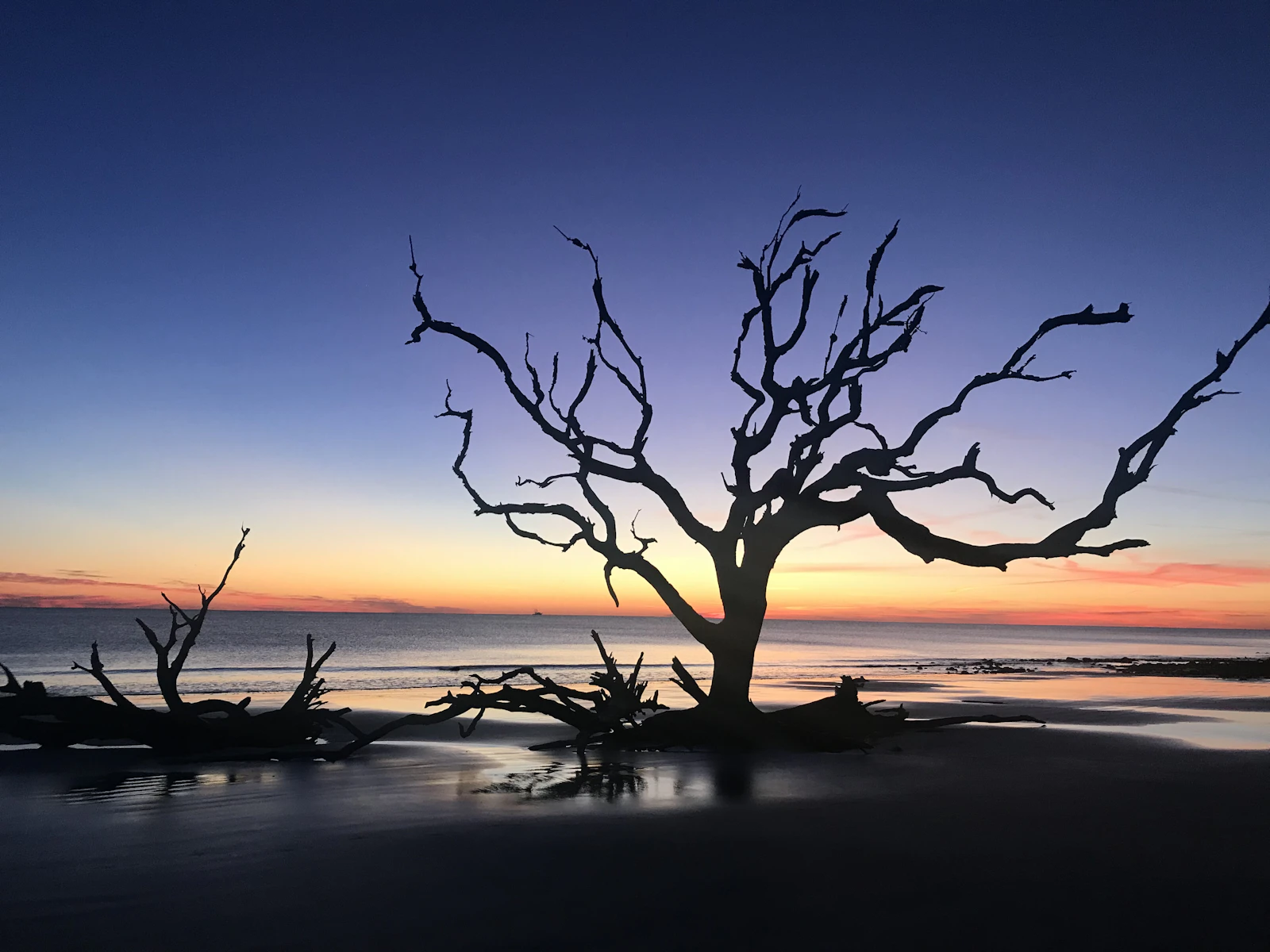 Jekyll Island, Georgia photo 1 by Kelly Trim