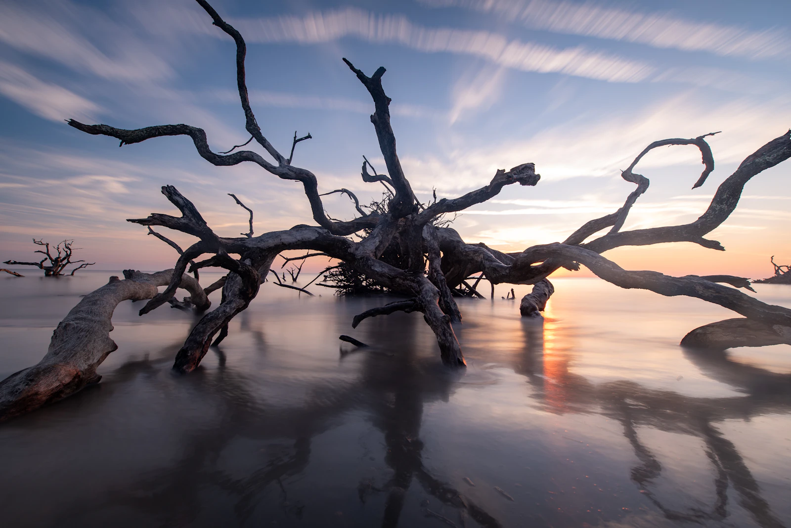 Jekyll Island, Georgia photo 3 by Elan smith