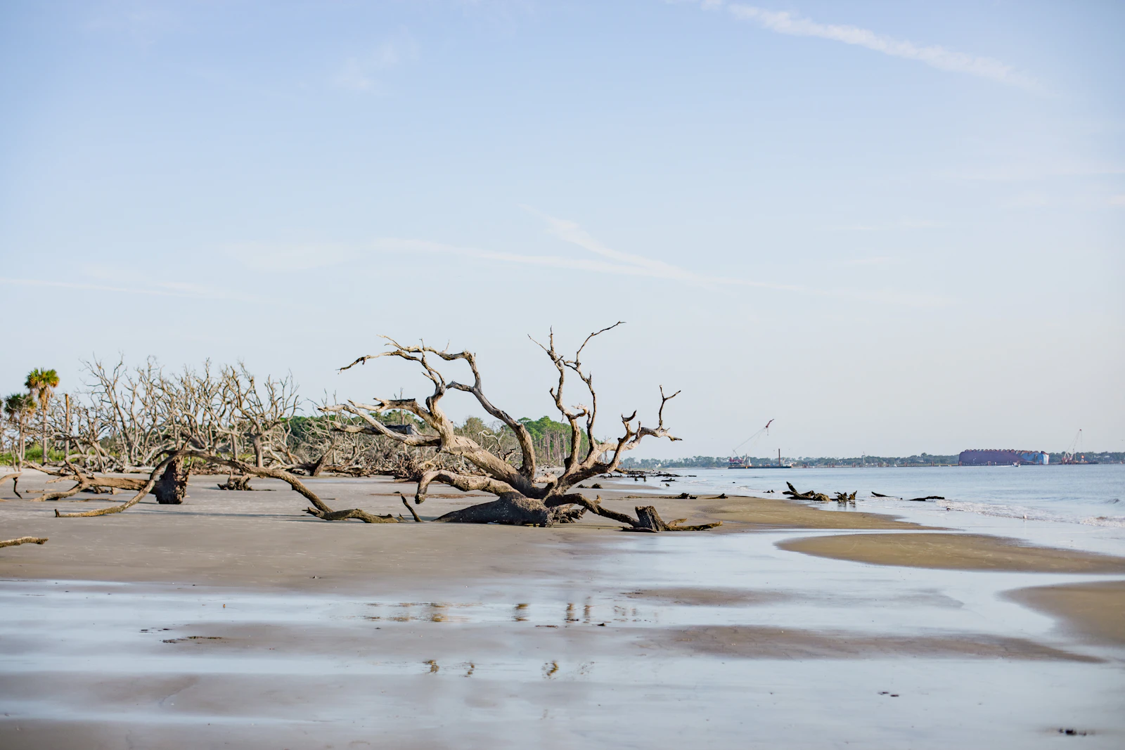 Jekyll Island, Georgia photo 6 by Sunira Moses