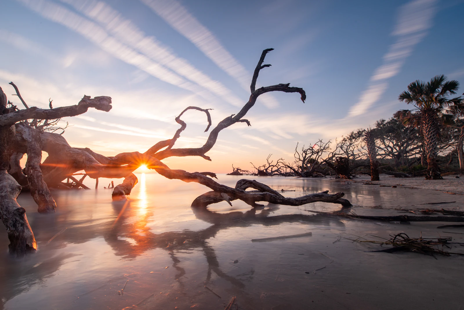 Jekyll Island, Georgia photo 2 by Elan smith