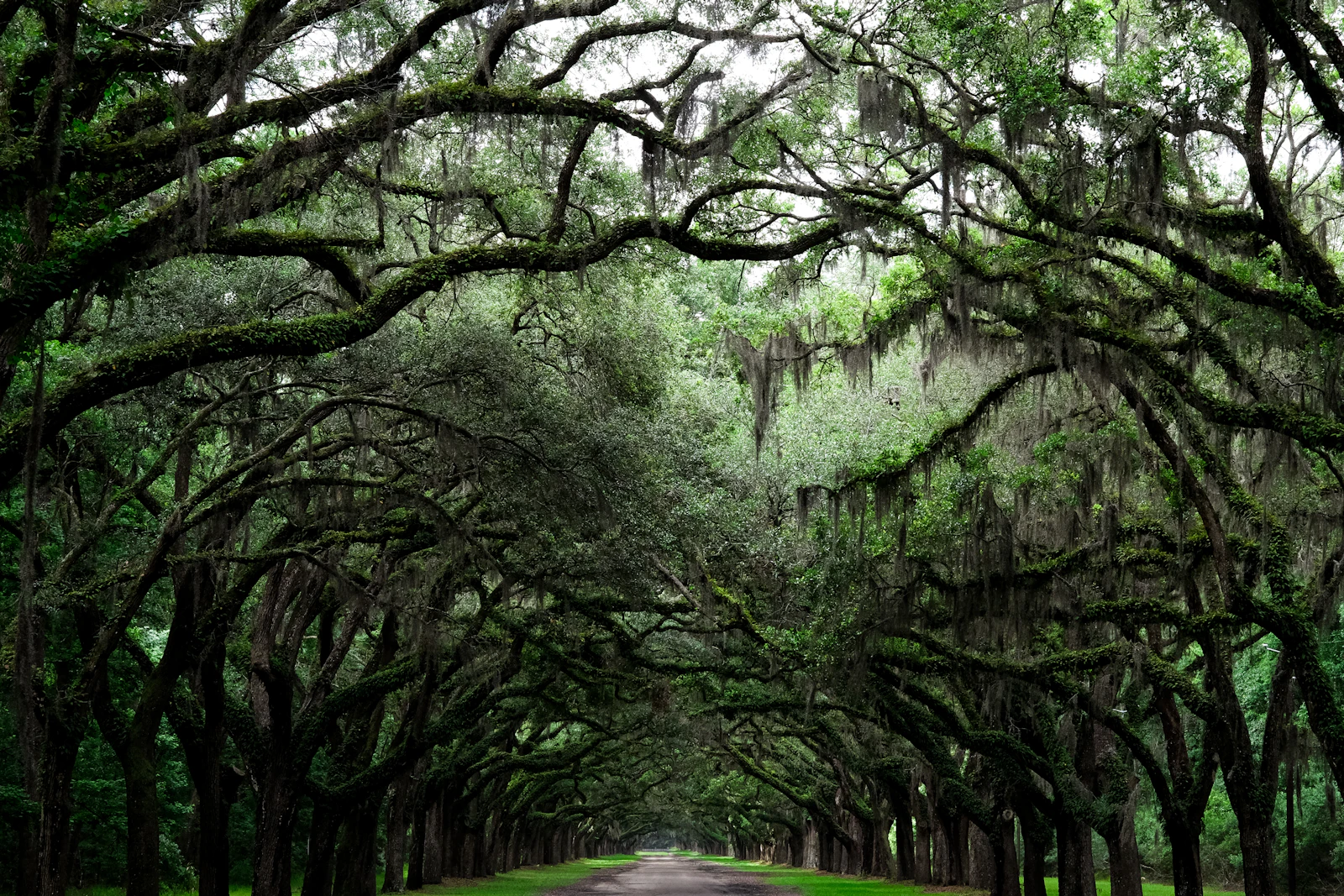 Savannah, Georgia photo 14 by Ryan Arnst