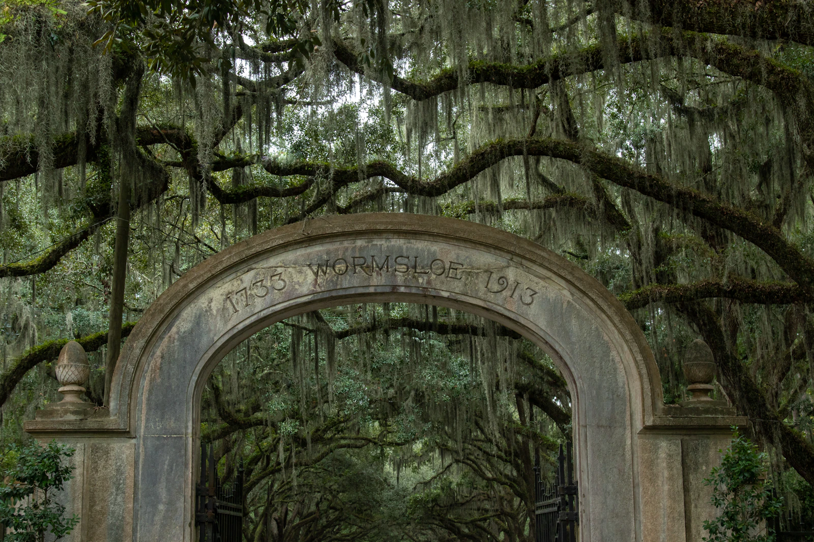 Savannah, Georgia photo 10 by Colton Jones