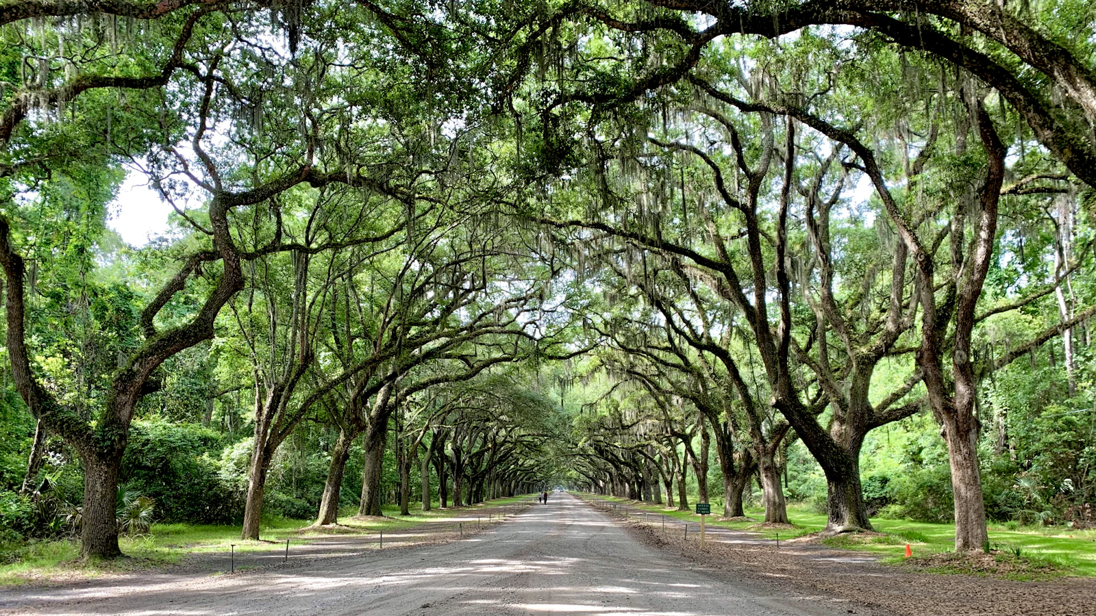 Savannah, Georgia photo 6 by Jacob Mathers