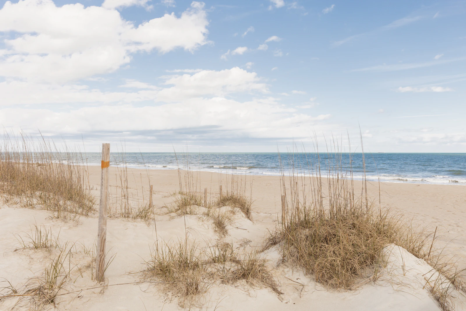 Tybee Island, Georgia photo 22 by Tarren Bailey