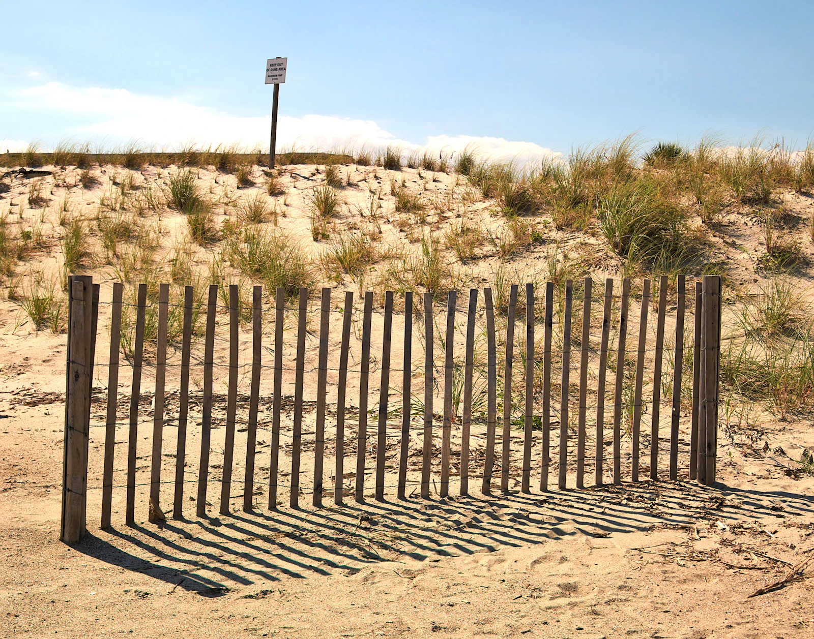 Tybee Island, Georgia photo 9 by Random Thinking