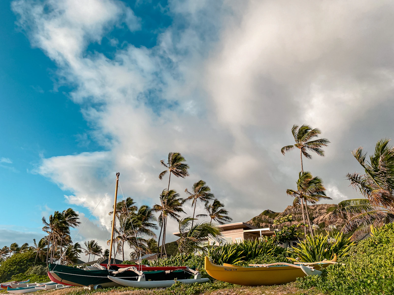 Hilo, Hawaii photo 10 by Julian Armstrong
