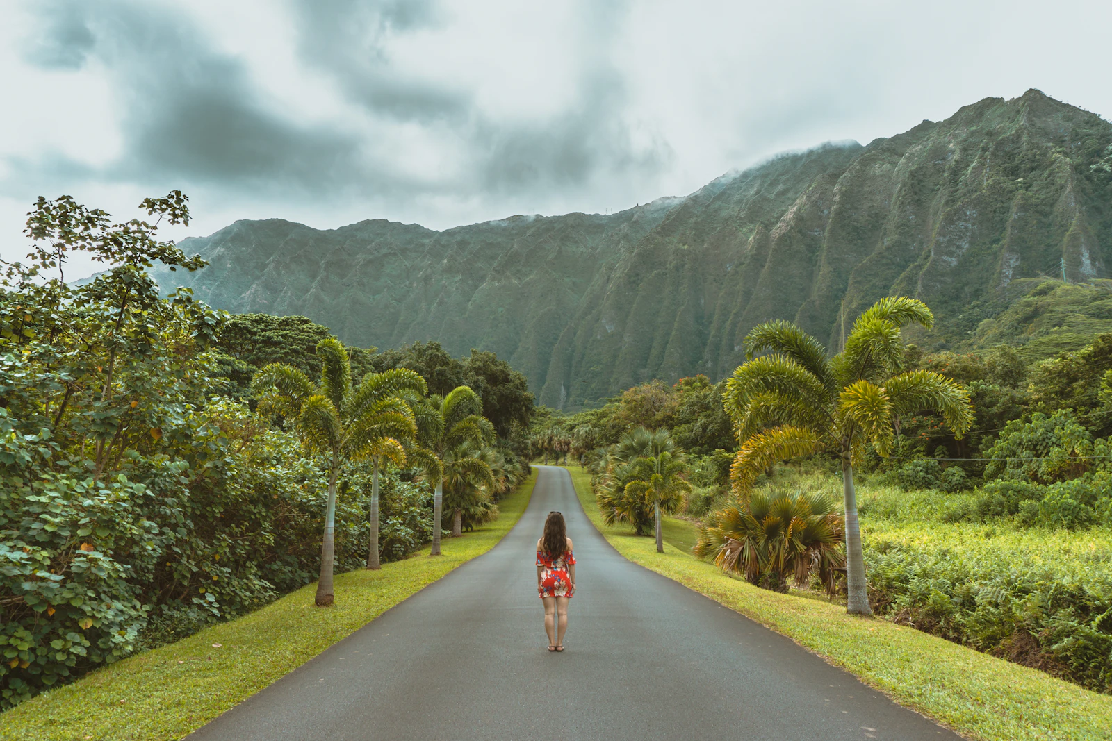 Hilo, Hawaii photo 4 by Darren Lawrence