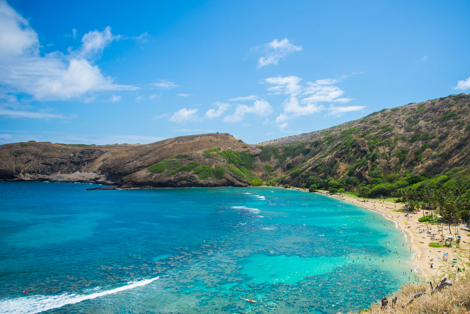 Honolulu, Hawaii photo 25 by William Zhang
