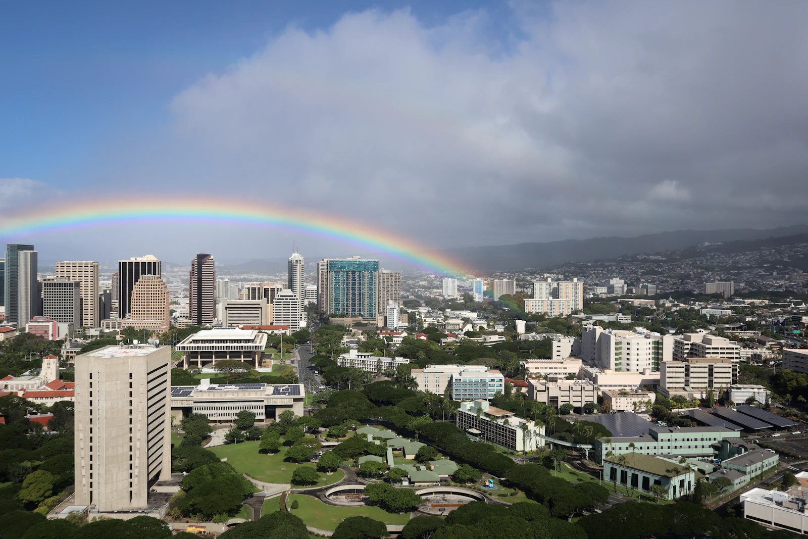 Honolulu, Hawaii photo 17 by little plant