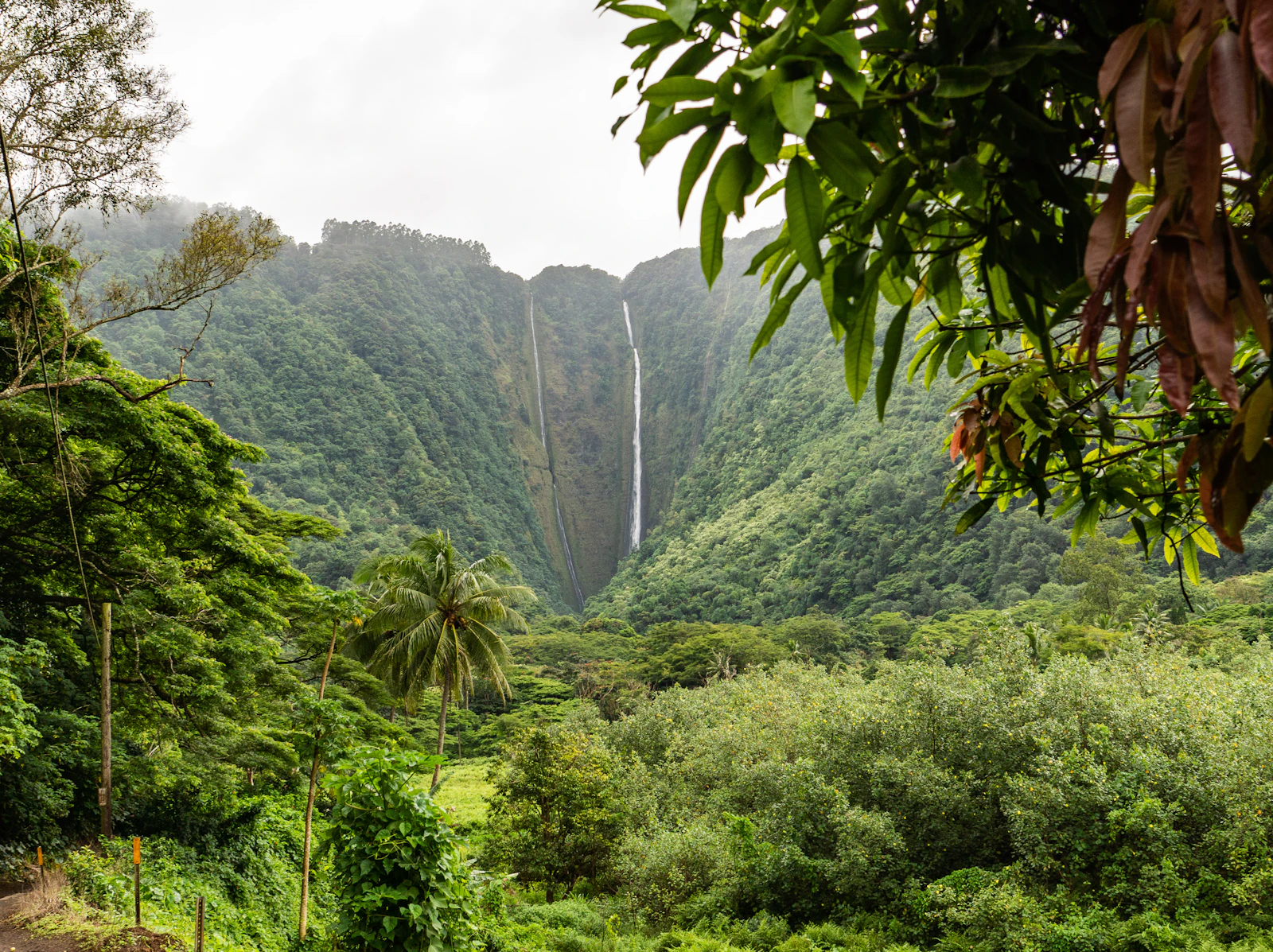 Kahului, Hawaii photo 6 by Martin Zangerl