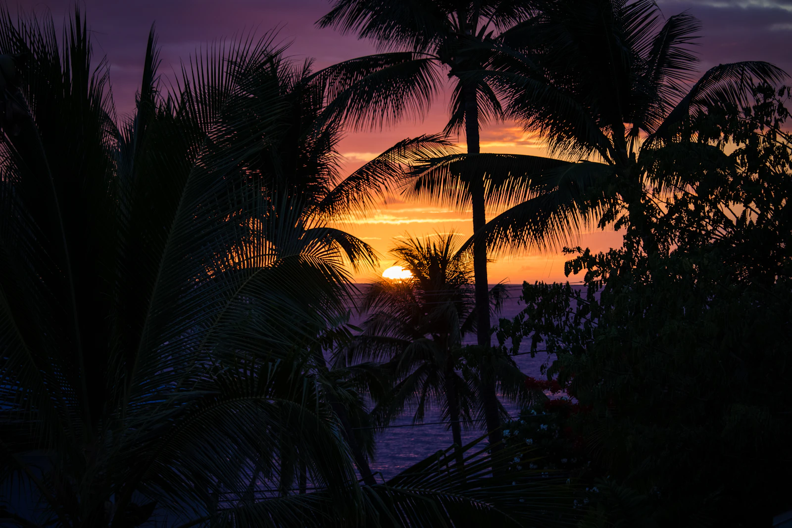 Kailua-Kona, Hawaii photo 2 by Chloe Leis
