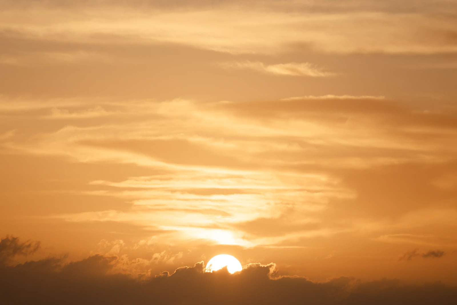 Kailua-Kona, Hawaii photo 26 by Josh Withers