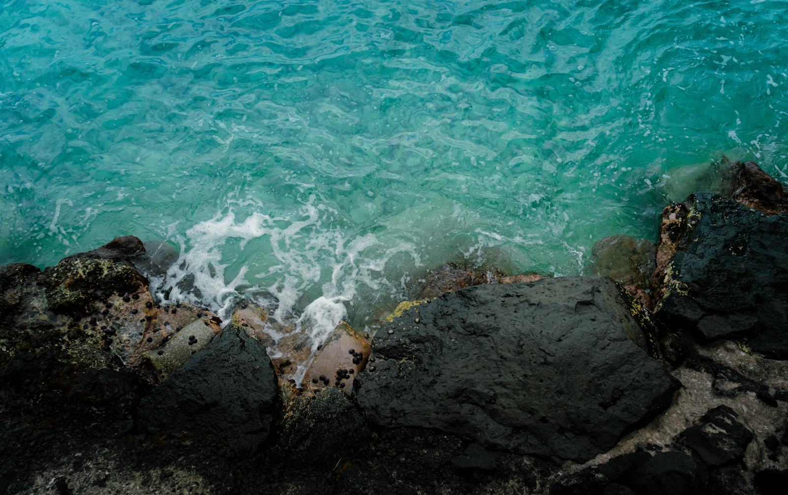 Kailua-Kona, Hawaii photo 14 by Kyler