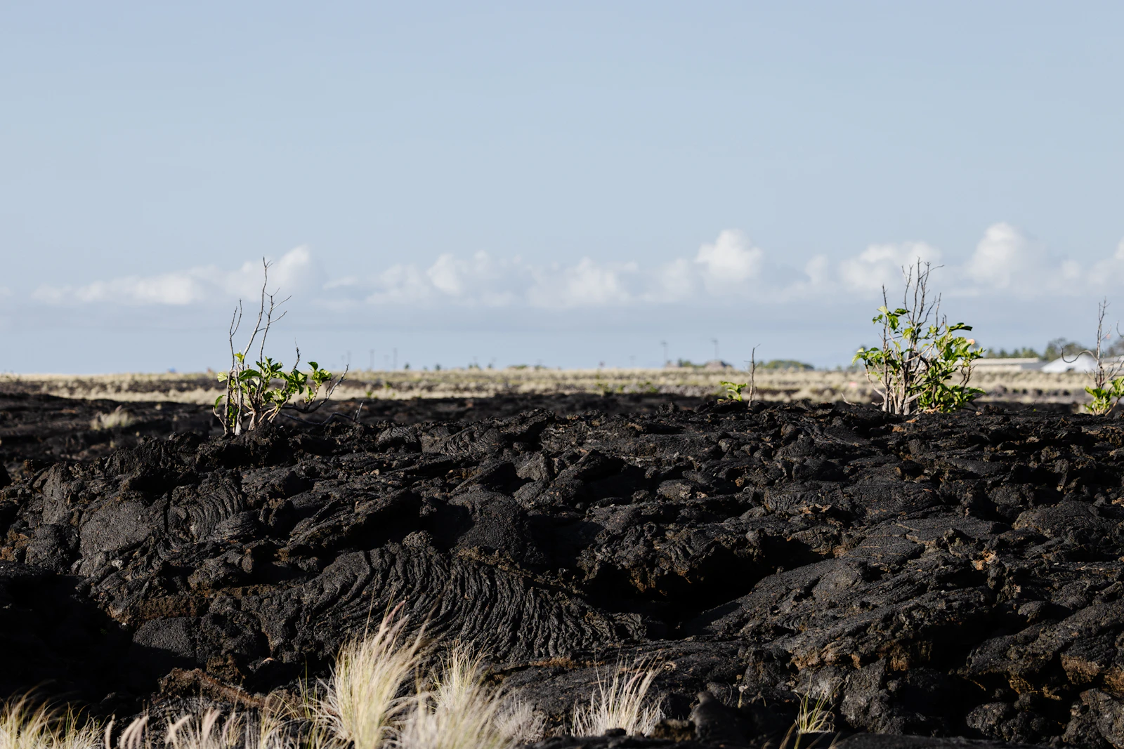 Kailua-Kona, Hawaii photo 15 by Josh Withers