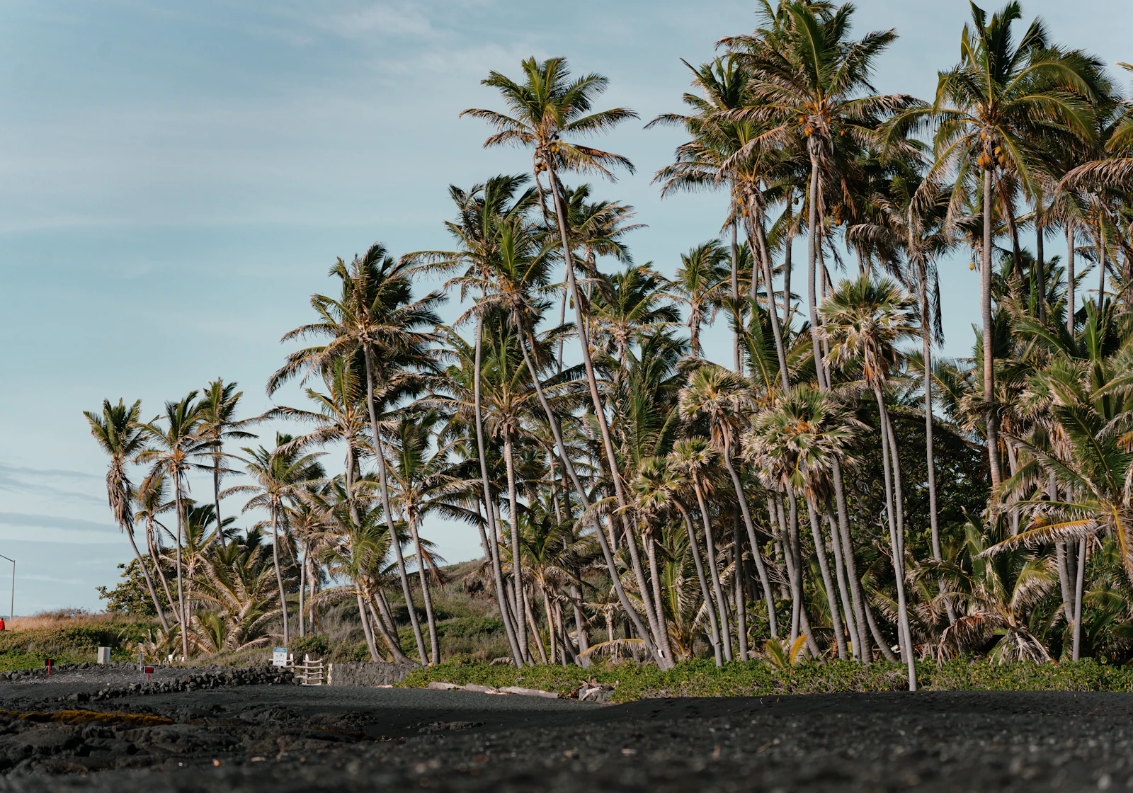 Kailua-Kona, Hawaii photo 10 by Kyler