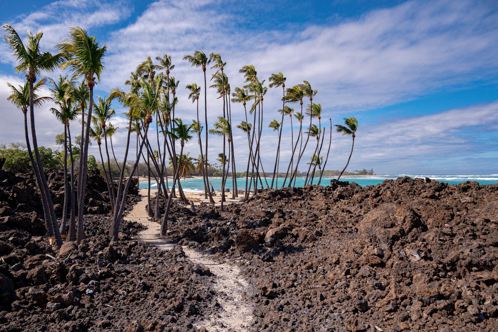 Kailua-Kona, Hawaii photo 22 by rjb Studios