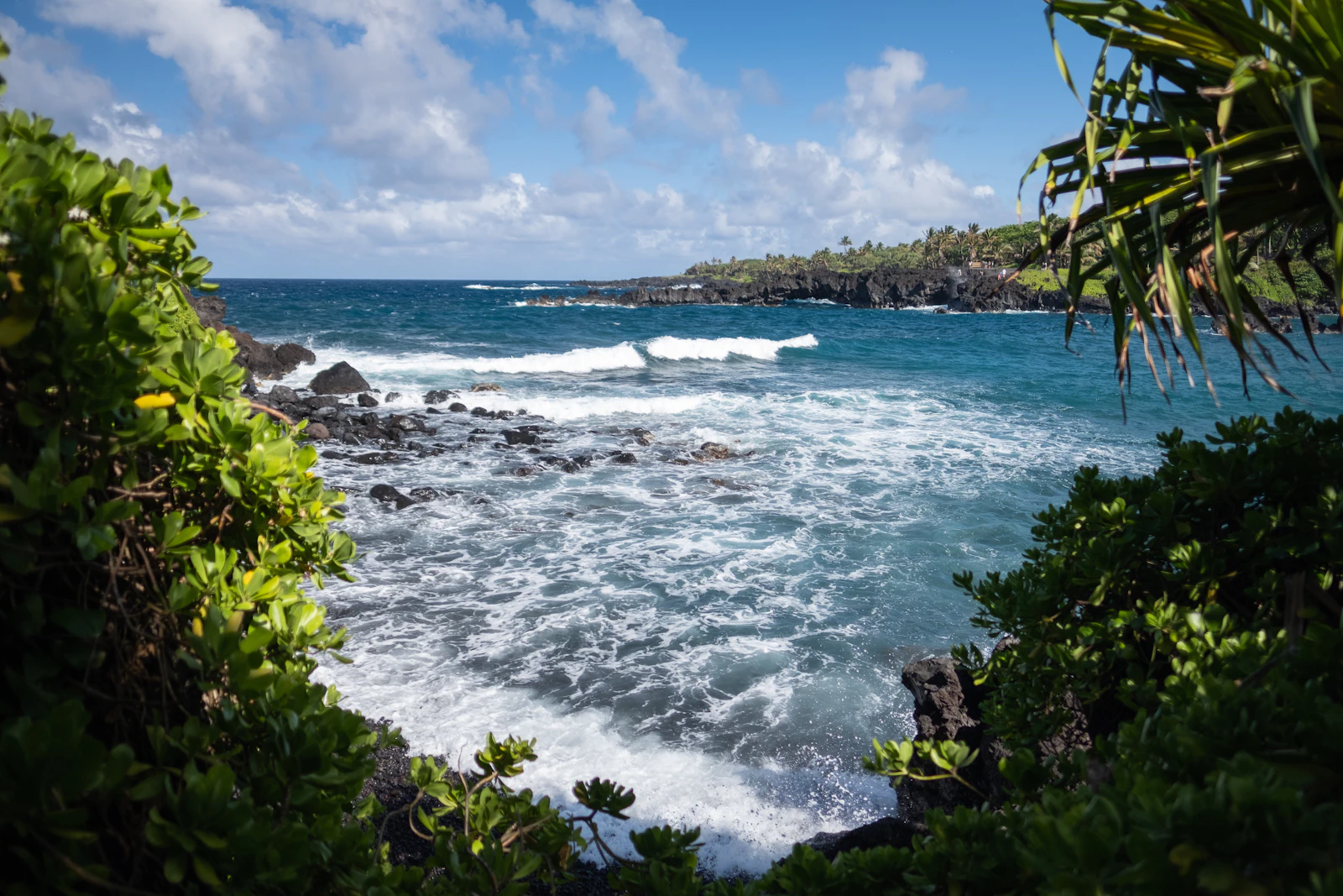 Lihue, Hawaii photo 24 by Tristan Ramberg