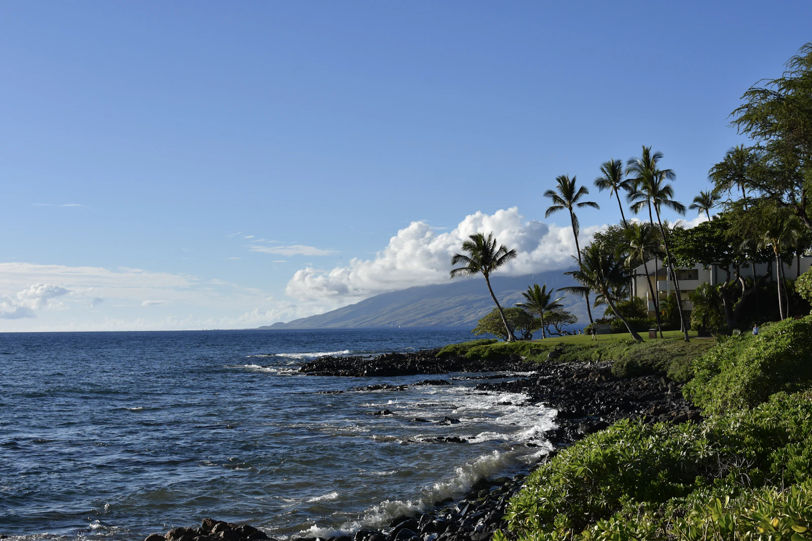 Lihue, Hawaii photo 12 by Luke Scarpino